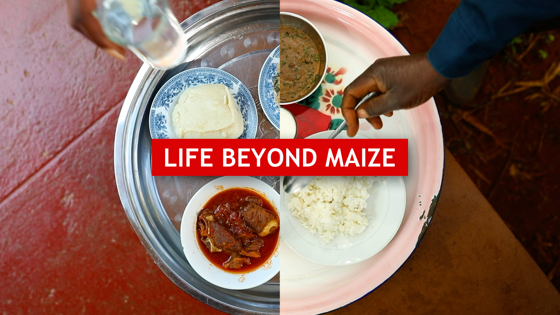 Sustainable Diets in Zambia