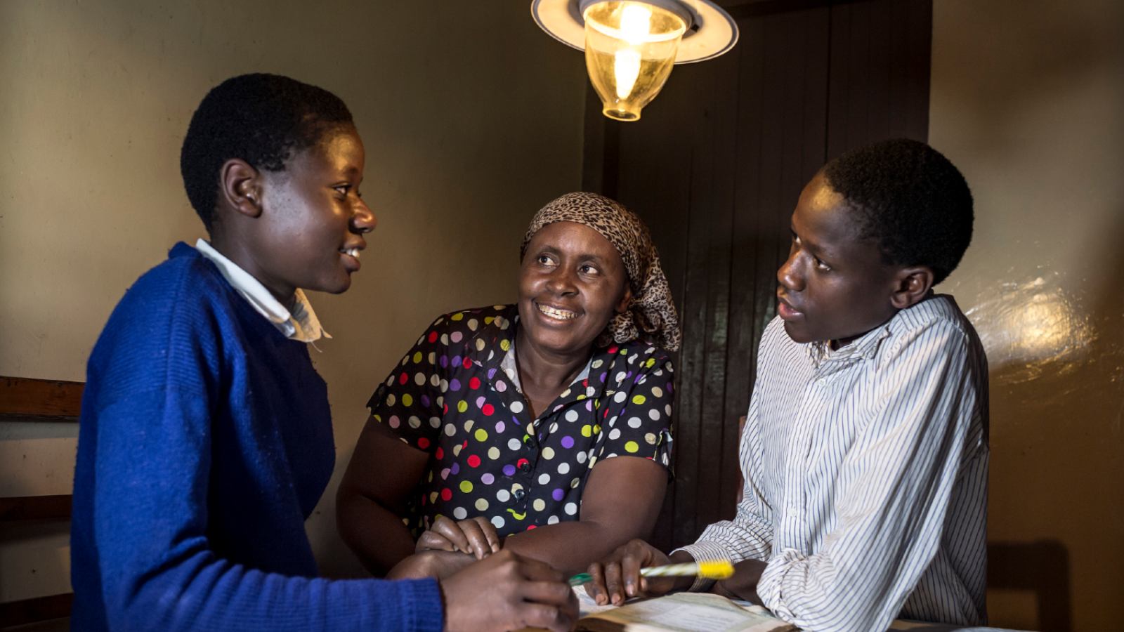 Using sustainable energy for electricity