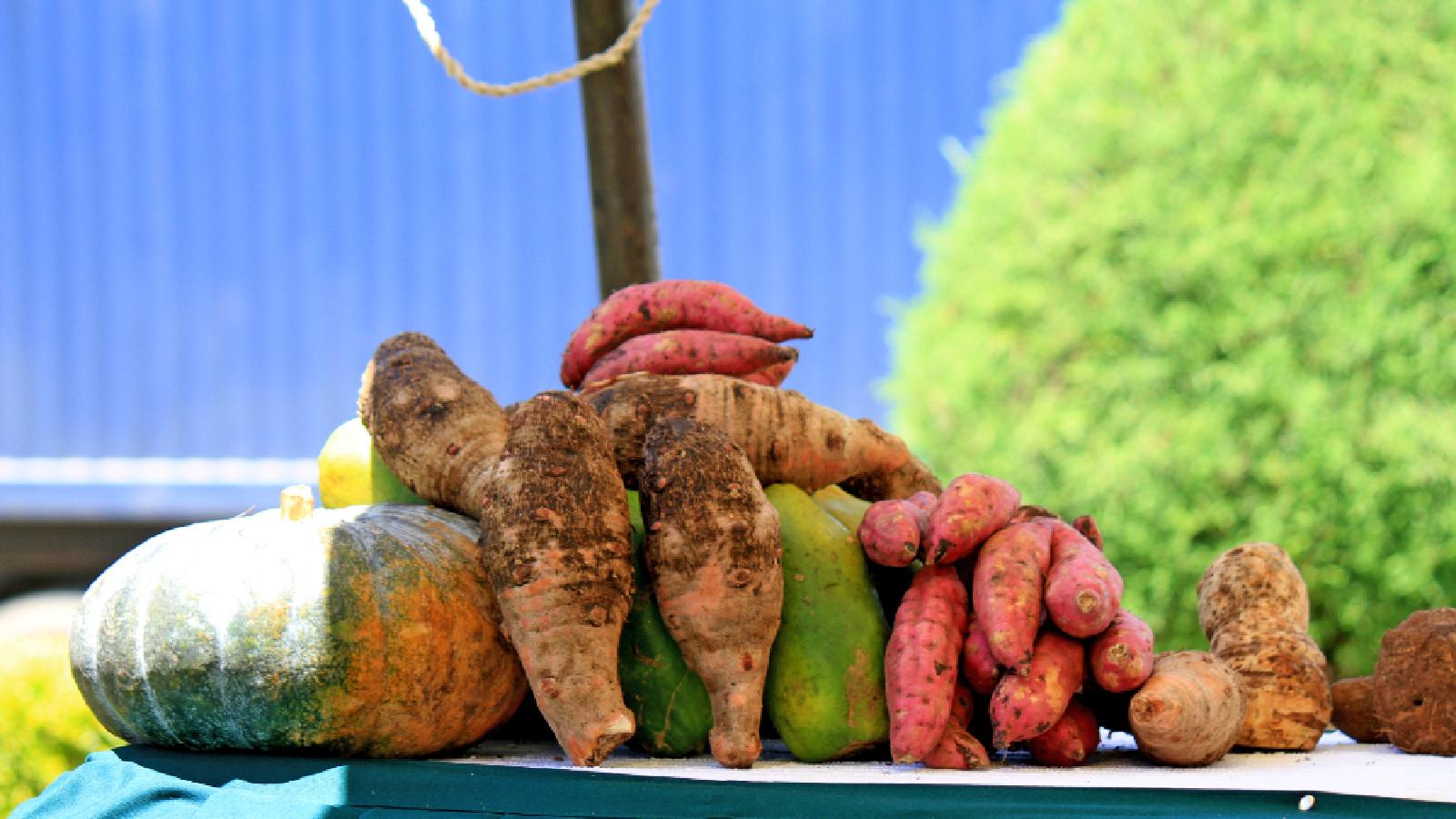 Importance of indigenous foods in the global food system